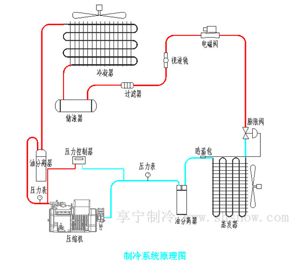 冷库设计图